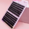 Mixed D Curl Cluster Lashes, 1 Box Individual False Eyelashes,