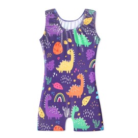 HOZIY Gymnastics Leotard Toddler Girl Dinosaur 4t 5t 4-5t Biketard Sparkly Cactus Stars Colorful Multicolored Dark Purple Sparkly Rainbow Outfits Clothing Apparel