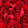 Dried Real Red Rose Flower Petals, 180 PCS (180, Red
