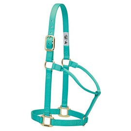 Weaver Leather Original Non-Adjustable Nylon Horse Halter, Yearling, Mint