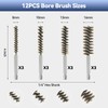 12 Pcs Stainless Steel Bore Brush, Wire Brush for Drill