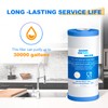 GOLDEN ICEPURE PP10BB-CC Whole House Water Filter Cartridge, 5 Micron
