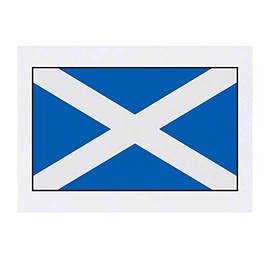 'Scottish Flag' Temporary Tattoo - Water Resistant, Skin-Safe, Non-Toxic Transfer (TO00030648)