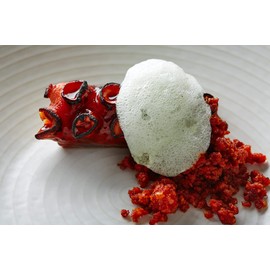 Mr.P Ingredients Soy Lecithin Powder 100g Stabilising Emulsifying Agent Texture Improver Vegan Vegetarian Halal Kosher Non-GMO Resealable Pouche