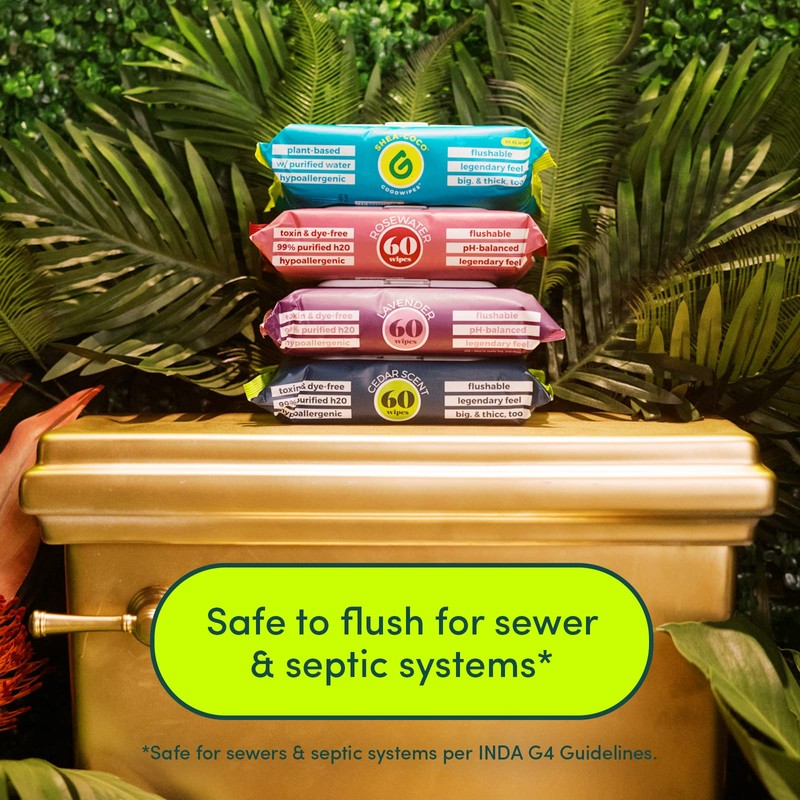 Goodwipes Flushable Butt Wipes Made with Vitamin E & Aloe