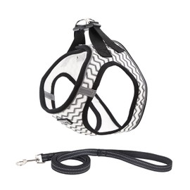 Suredoo Soft Mesh Dog Harness and Leash Set, Step in Reflective Breathable Padded Pet Puppy Vest Harness Leash Set, Comfort Training Walking for Small Dogs Cats (White Wave, S)