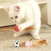 SAIIURV 9 Pieces Cat Bouncy Ball With Feather Cat Toys