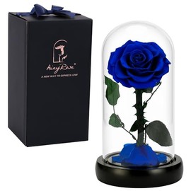 Rosas Reales Preservadas para Siempre, Regalos de Cumpleaños para Mamá y Mujeres, Flores Eternas Negras en Vaso, Regalos para San Valentín, Día de la Madre, Navidad y Aniversario