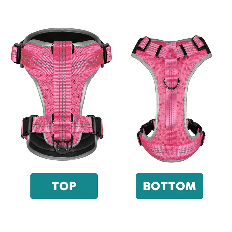 Embark Sports Dog Harness, No Pull Dog Harness with 2