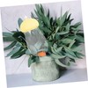 Mipcase Self Watering Plant Tool Automatic Dripper Globes for Use