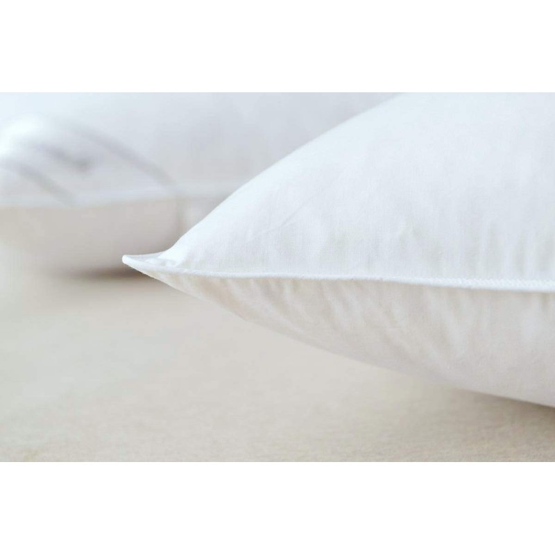 Eastwarmth Goose Down Feather Hotel Collection Bed Pillow for Sleeping,100%