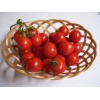 The Gardening World 250 Large Red Cherry Tomato Seeds Premium