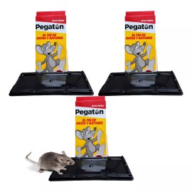 Pegaton Trampas Para Ratas Trampas Ratones Trampa Para Ratas Grandes