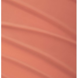 3CE Blur Water Tint  - #WARMTH