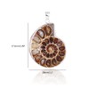 BOGEEL Natural Ammonite s Pendant Jewelry Silver Tone Ammonite s