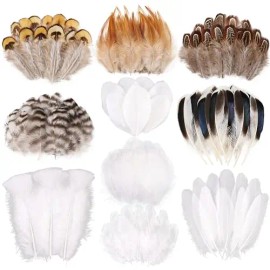 300 Pcs Small Feathers 10 Style Mixed Spotted Decorative Natual Pheasant Feather for DIY Crafts Clothing Jewelry Hair DecorationColor: Natural+White