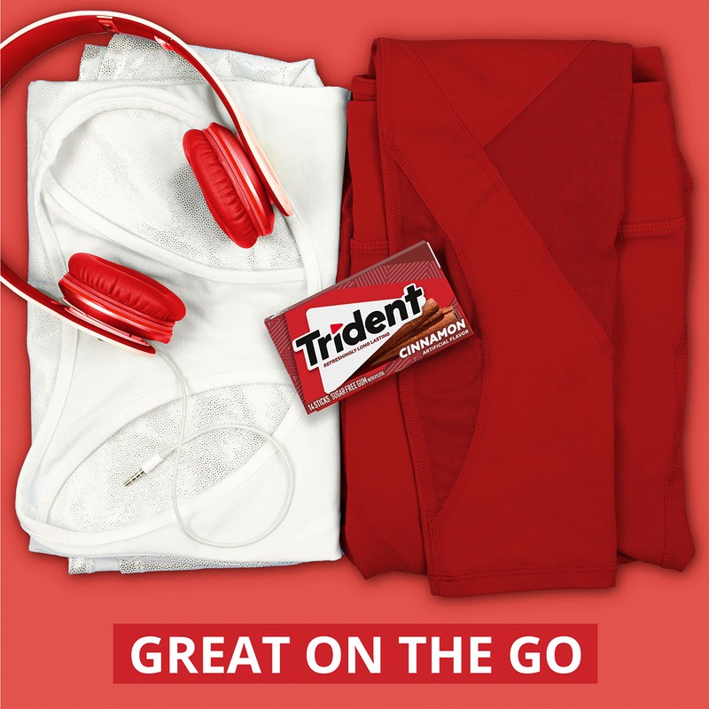 Trident Cinnamon Sugar-Free Chewing Gum, 24 Packs of 14 Pieces