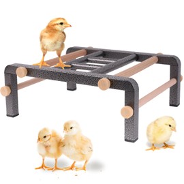 Baby Chick Roosting Perch Stand for Brooder and Coop Training (Square Tube)