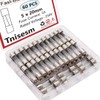 Tnisesm 60 Pcs F5AL Fast-Blow Fuse 5A 250 V Glass