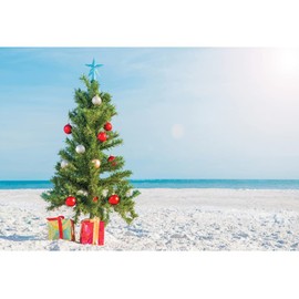 DASHAN 12x8ft Tropical Hawaiian Christmas in July Backdrop Merry Christmas Photography Beach Christmas Santa Seaside YouTube Christmas Xmas Background Palm Tree Home Kids Christmas Family Photo Prop