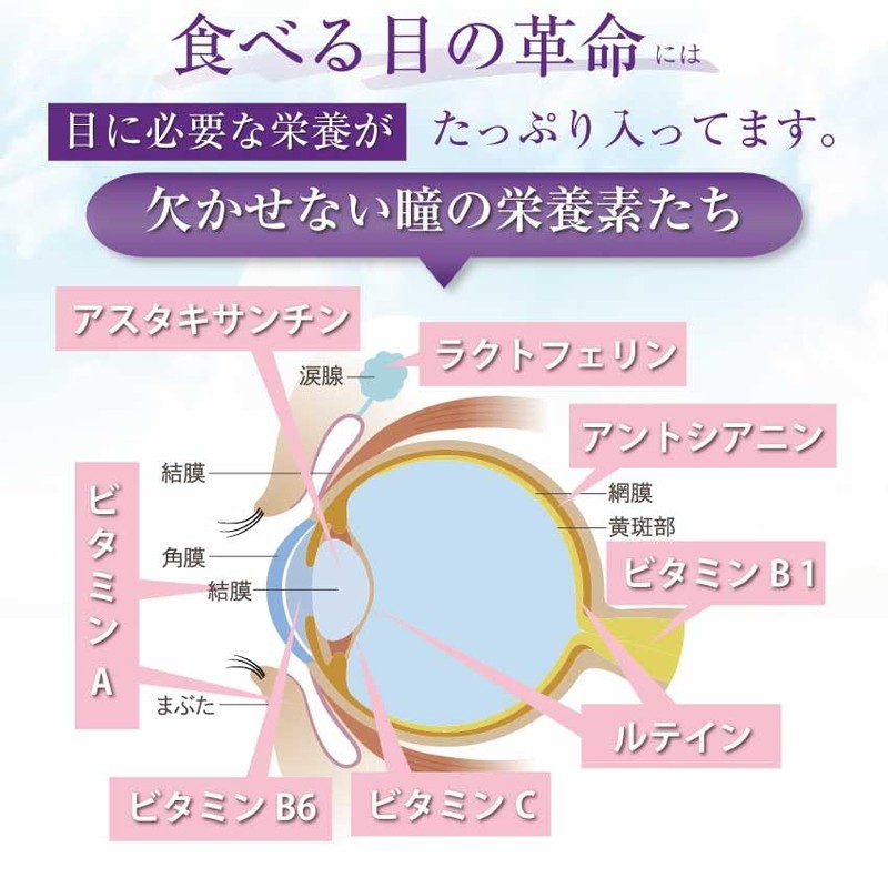Pupil Support for Dogs and Cats (Revolution of Eating Eyes),