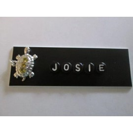 Unbranded ID NAME TAG BADGE MAGNET OR PIN TURTLE,MEDICAL