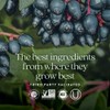 New Chapter Zinc Supplement, Fermented Zinc Complex, ONE Daily for