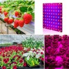 LED Plant Grow Lights for Indoor Plants Full Spectrum 12W