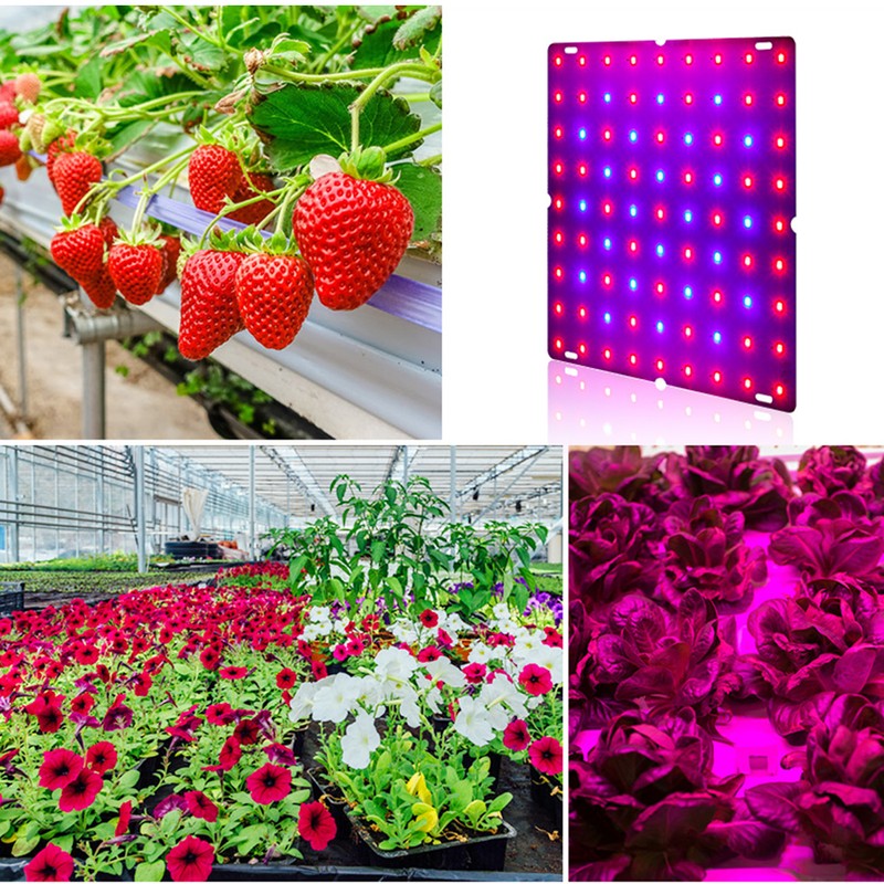 LED Plant Grow Lights for Indoor Plants Full Spectrum 12W