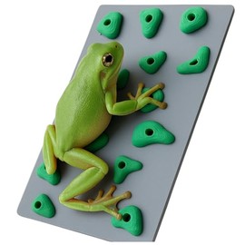 Mini Rock Climbing Wall for Frogs – Amphibian Enrichment and Habitat Décor – Fun Activity Wall for Tree Frogs, Dart Frogs, and Small Amphibians