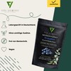 Vita Elements Creatine Monohydrate Gummies – Pack of 60 –