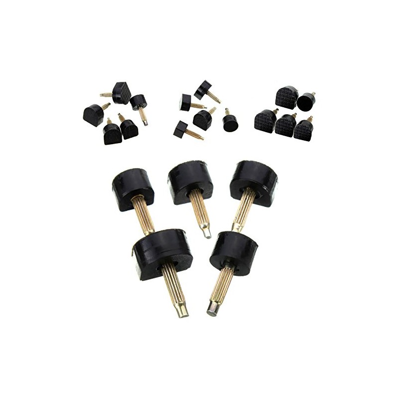 LIPOVOLT® 60PCS 5-Sizes High Heel Shoe Repair Tips Taps Pins