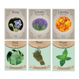 Set of 6 Tea & Medicinal Herb Garden Seed Collection – Grow Healing & Soothing Herbs for Tea & Natural Remedies – Non-GMO, Heirloom, High Germination – Lavender, Sage, Thyme & More