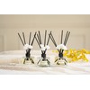 CULTURE & NATURE Reed Diffuser Set 6.7oz (200ml) Vanilla Scented