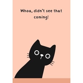 Pawsome notebooks set 2 Black cats - 03