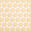 WidgetCo Hardrock Maple Fastcaps, Peel & Stick Screw Covers, Self-Adhesive Cover Caps (Sheets of 53 caps x Qty 2)