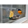 Woodlink NAWFDR Audubon Mixed Treat Window Feeder
