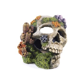 CLASSIC Polyresin Skull Aquarium Ornament 20cm