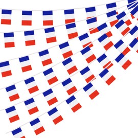 France French String Flag Pennant Banner, Small Mini France French Bunting Banner National Country Decoration for School, Party, Patriotic Festival, 66 Feet 60 Flags