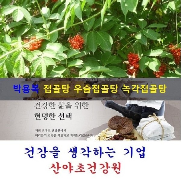 Yongbok Park’s deer antler bone soup (35 days’ worth): 70 packs / 박용복 녹각접골탕(35일분):70팩