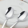 Nesmilers 12 Pieces Dessert Spoon, Stainless Steel Teaspoons Set