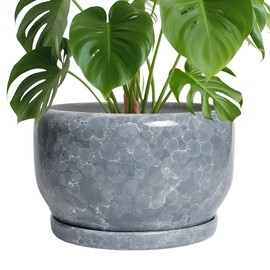 SQOWL Ceramic Pot for Plants - 10 Inch Plant Pot Indoor with Drainage Hole and Saucer, Round Ceramic Planter, Decorative Large Flower Pot Outdoor, Home Office Room Decor, Garden Gifts, Gray
