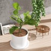 Modixun 2Pack Plant Pot Grid, Cuttable Flower Pot Soil Cover