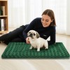 Dog Bed Mat for Crates - Soft & Cute Dog