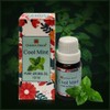 Cool Mint Fragrance Oil for Diffuser Candle Scents Soap Making