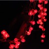 33ft/10M 80 LED Red Lanterns String Lights Battery Operated Fairy