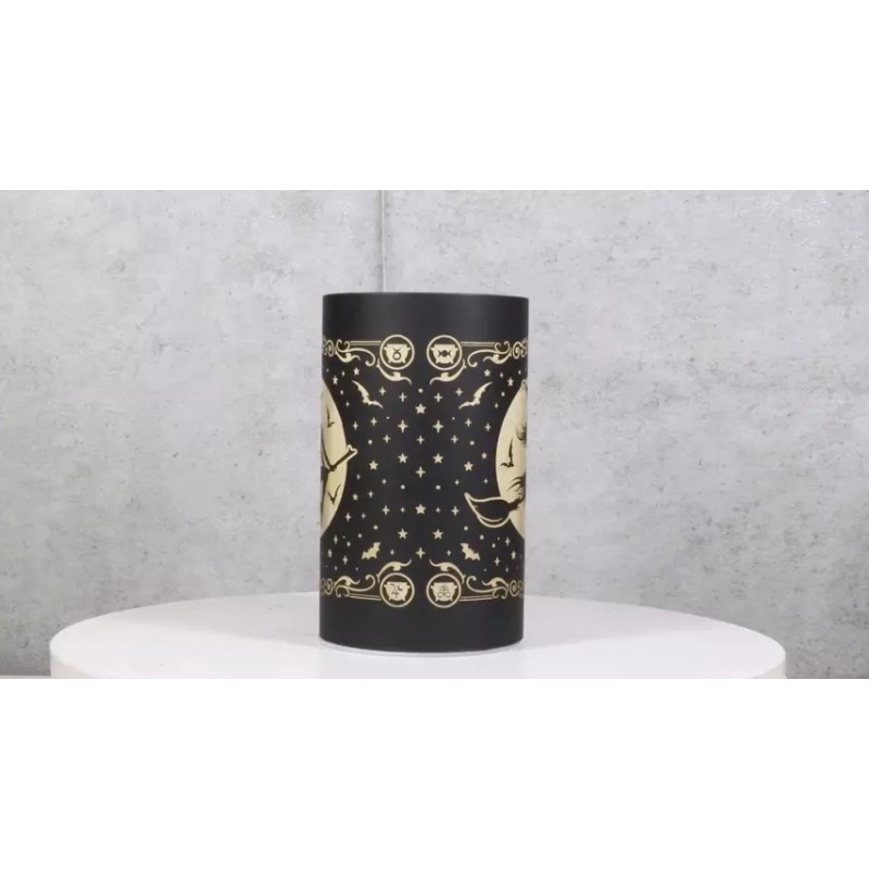 Wicca Witch by Moonlight On Broomstick with Bats LED Etched