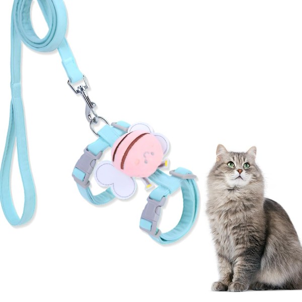 XYTAHDM Katzengeschirr 120cm mit Leine verstellbar Ktierendgeschirr Katzengeschirr mit Leine