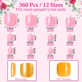 MELLIEX Pack of 360 False Toenails, 12 Colours, Artificial Toenails for Sticking, Acrylic, Full Cover Toenails Tips Kit with Glue, 12 Sizes
