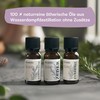 Roothouse-Organics - Forest Set - 100% Natural Essential Oil Set